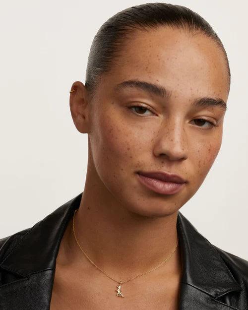 PD Paola Charm Dino CH01-017-U