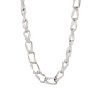 Κολιέ Αλυσίδα Emporio Armani Trend EGS3301040 Ασημί