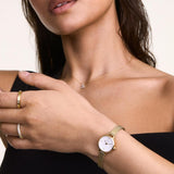 Γυναικείο ρολόι Daniel Wellington Petite Mini Evergold DW00100745 φορεμένο με χρυσό ατσάλινο μπρασελέ και λευκό καντράν.