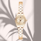 Ρολόι Gant Fairhaven Bijou G194104 Με Χρυσό Μπρασελέ και Χρυσό Καντράν