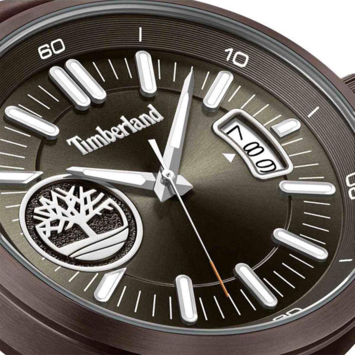 Ανδρικό ρολόι Timberland Trumbull TDWGB0041004 με καφέ δερμάτινο λουράκι και καφέ καντράν διαμέτρου 45mm.