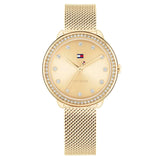Γυναικείο ρολόι Tommy Hilfiger Demi 1782699 με χρυσό ατσάλινο μπρασελέ, χρυσό καντράν 32mm και ζιργκόν.
