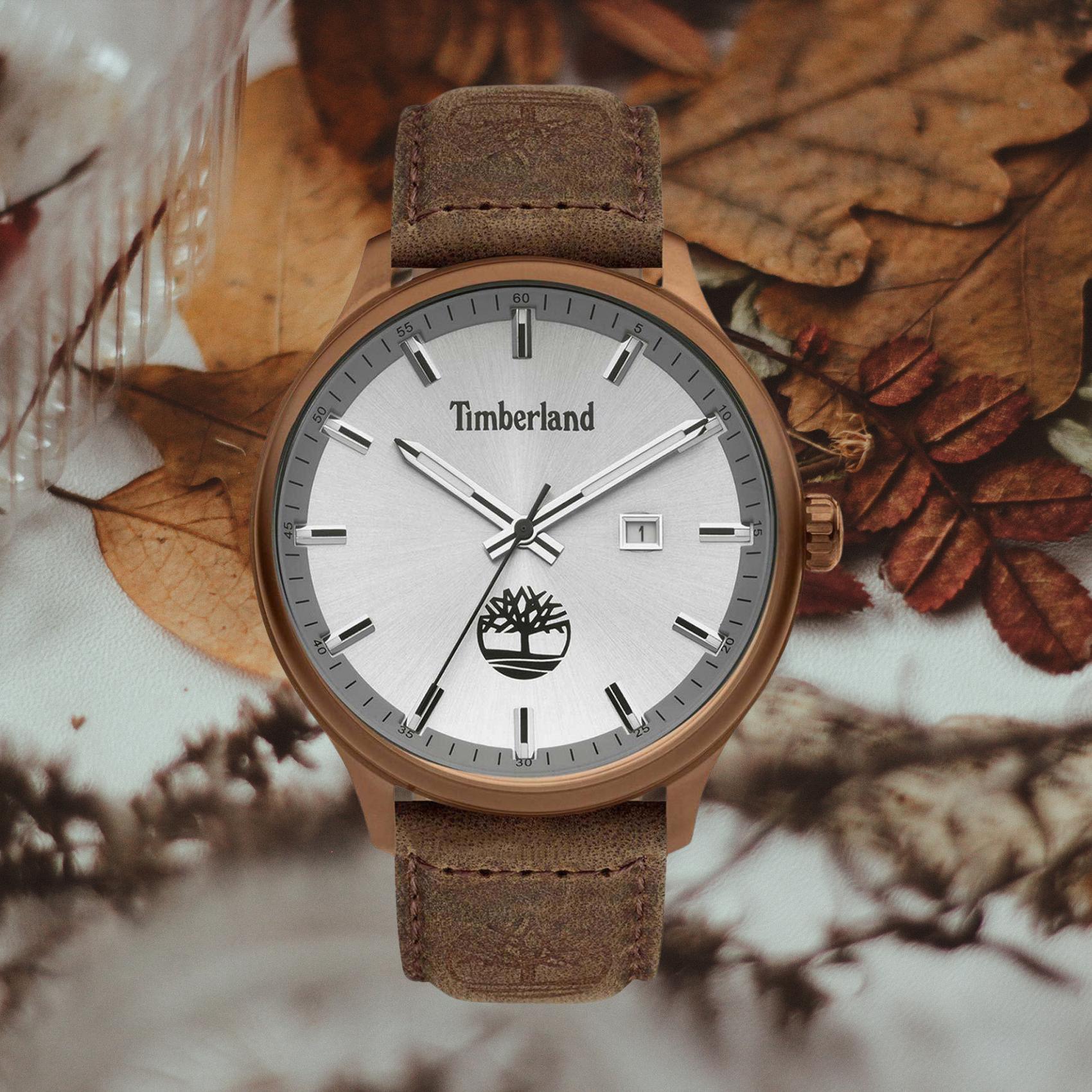 Αντρικό ρολόι Timberland Southford TDWGB2102203 με καφέ δερμάτινο λουράκι και ασημί καντράν διαμέτρου 46mm με ημερομηνία.
