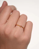Δαχτυλίδι Rose Blush Ασήμι 925 Επιχρυσωμένο PDPAOLA AN01-192-14